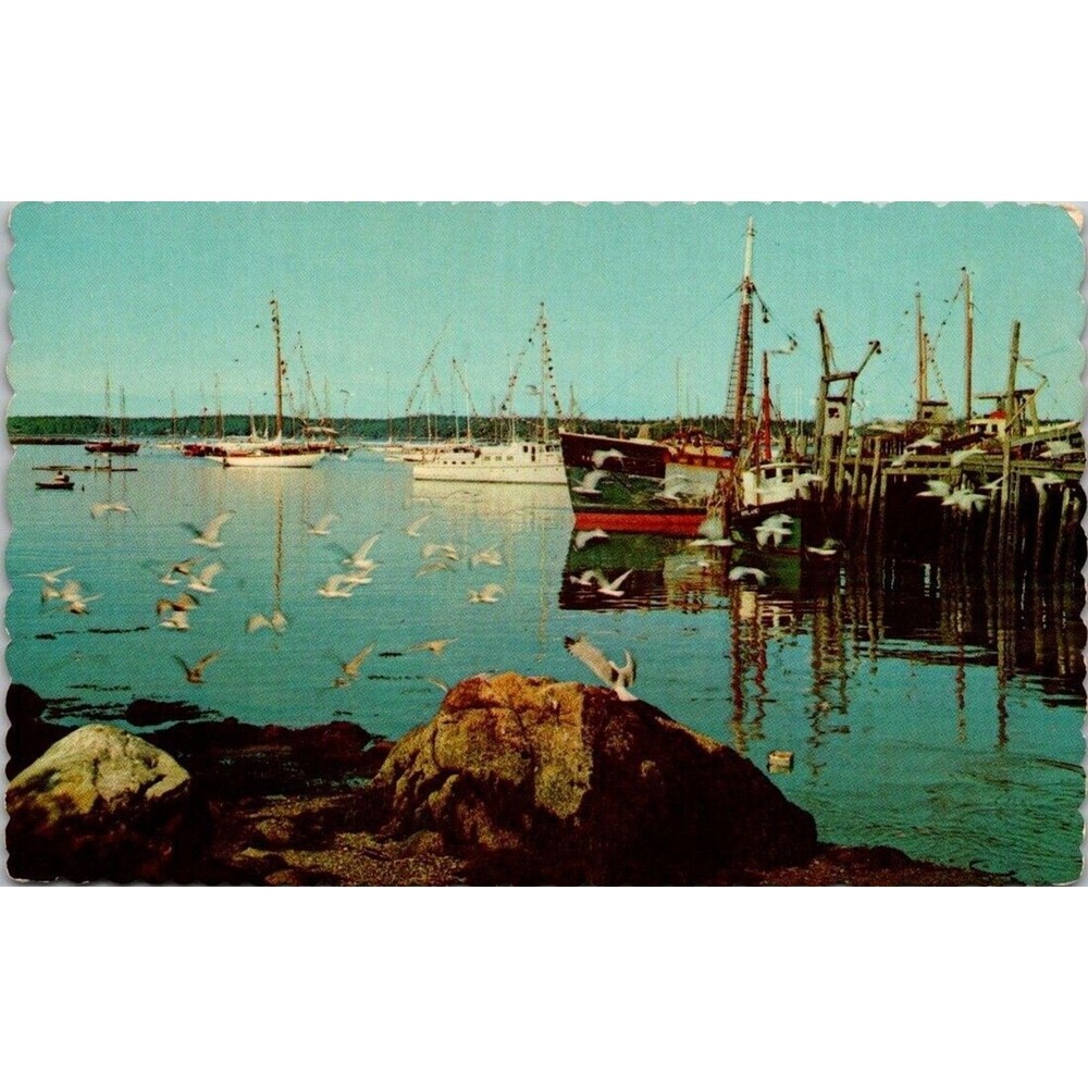 Vintage Boothbay Harbor Maine Postcard Boats Scalloped Edge Dexter Press M-2201